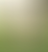 3f2905b4-5559-434b-8e15-11aa49e388ca.jpeg